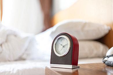 《辐射76》数据挖掘显示：宠物系统或即将加入游戏